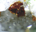 Odenwald Mineralien Reichenbach 16.1 Pharmakosiderit (Ba)
