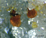 Odenwald Mineralien Reichenbach 16.1 Pharmakosiderit (Ba)