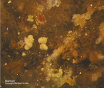 Odenwald Mineralien Reichenbach Borstein Bismutit