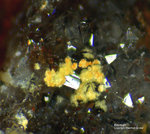 Odenwald Mineralien Reichenbach Borstein Bismutit