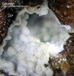 Odenwald Mineralien Reichenbach Borstein Calcedon