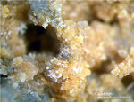 Odenwald Mineralien Reichenbach Borstein Calcedon
