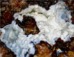 Odenwald Mineralien Reichenbach Borstein Calcedon