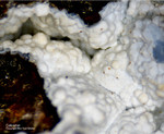 Odenwald Mineralien Reichenbach Borstein Calcedon