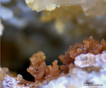 Odenwald Mineralien Reichenbach Borstein Calcedon
