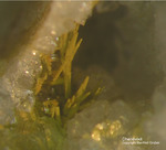 Odenwald Mineralien Reichenbach Borstein Chenevixit