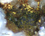 Odenwald Mineralien Reichenbach Borstein Chenevixit