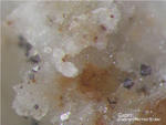 Odenwald Mineralien Reichenbach Borstein Cuprit