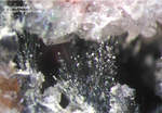 Odenwald Mineralien Borstein Kryptomelan