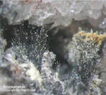 Odenwald Mineralien Borstein Kryptomelan