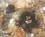 Odenwald Mineralien Borstein Kryptomelan