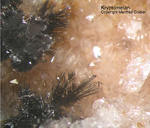 Odenwald Mineralien Borstein Kryptomelan