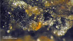 Odenwald Mineralien Borstein Kryptomelan