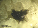 Odenwald Mineralien Borstein Kryptomelan