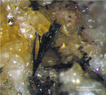 Odenwald Mineralien Borstein Kryptomelan