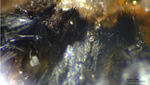Odenwald Mineralien Borstein Kryptomelan