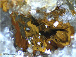 Odenwald Mineralien Reichenbach Borstein Limonit