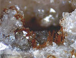 Odenwald Mineralien Reichenbach Borstein Limonit