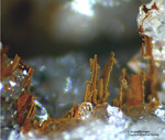 Odenwald Mineralien Reichenbach Borstein Limonit