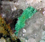 Odenwald Mineralien Borstein Pseudomalachit