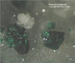 Odenwald Mineralien Borstein Pseudomalachit