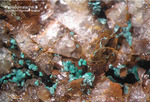Odenwald Mineralien Borstein Pseudomalachit