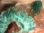 Odenwald Mineralien Borstein Pseudomalachit