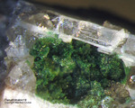 Odenwald Mineralien Borstein Pseudomalachit
