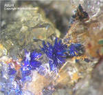 Sauerland Mineralien Müschede Azurit
