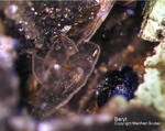 Sauerland Mineralien Müschede Baryt