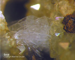 Sauerland Mineralien Müschede Baryt