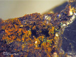 Sauerland Mineralien Müschede Dickit