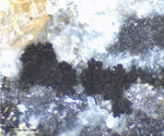 Sauerland Mineralien Müschede Akanthit