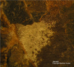 Sauerland Mineralien Müschede Jarosit