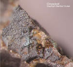 Sauerland Mineralien Müschede Chrysokoll