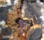 Sauerland Mineralien Müschede Chalkopyrit