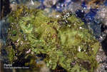 Sauerland Mineralien Müschede Partzit