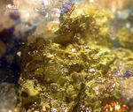 Sauerland Mineralien Müschede Partzit