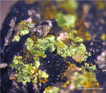 Sauerland Mineralien Müschede Partzit