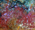 Odenwald Mineralien Katzenstein Chalkotrichit
