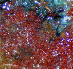 Odenwald Mineralien Katzenstein Chalkotrichit
