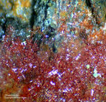 Odenwald Mineralien Katzenstein Chalkotrichit