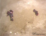 Odenwald Mineralien Katzenstein Cuprit