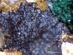 Odenwald Mineralien Katzenstein Goethit