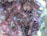 Odenwald Mineralien Katzenstein Kupfer