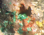 Odenwald Mineralien Katzenstein Malachit