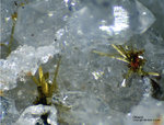 Odenwald Mineralien Katzenstein Olivenit