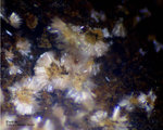 Odenwald Mineralien Nieder-Beerbach Glasberg Erythrin