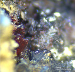 Odenwald Mineralien Nieder-Beerbach Glasberg Fettelit