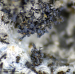 Odenwald Mineralien Nieder-Beerbach Glasberg Klinosafflorit